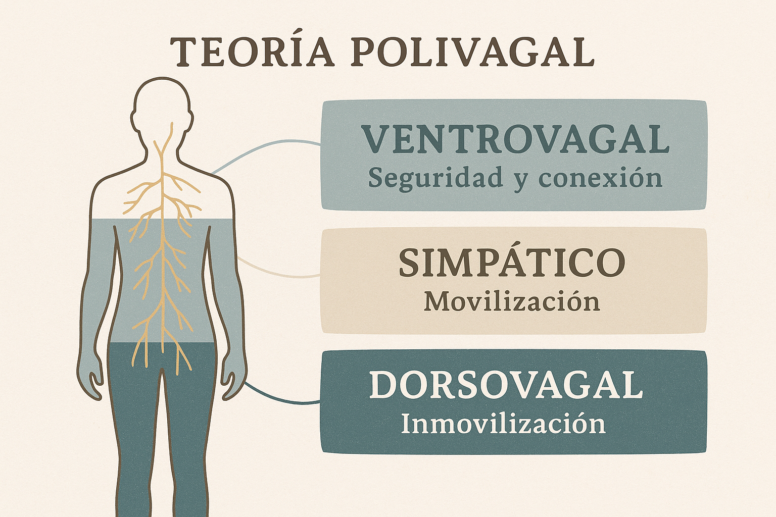 Sensorimotriz